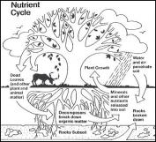 The basic nutrient cycle (USDA NRCS & NSTA (2010)